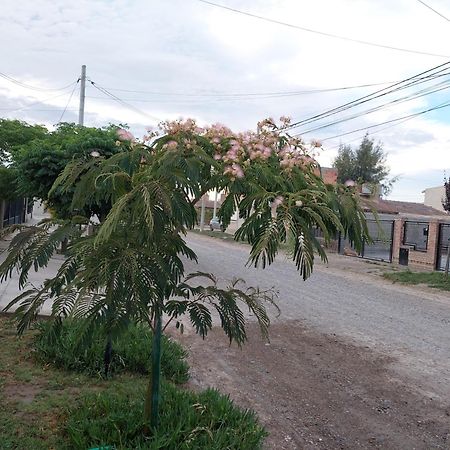 Habitacion Privada En La Casa De Thor 特雷利乌 外观 照片