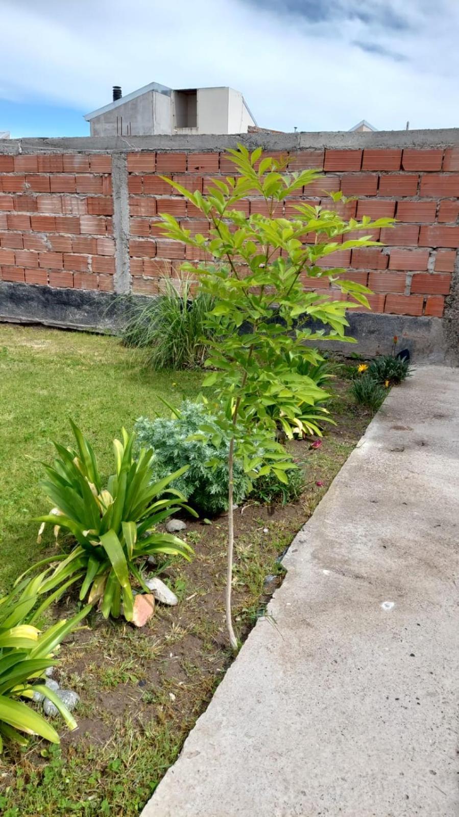 Habitacion Privada En La Casa De Thor 特雷利乌 外观 照片
